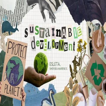 SUSTAINABLE DEVELOPMENT GOALS, STABILITY AND SUSTAINABILITY DIFFERENCES ...