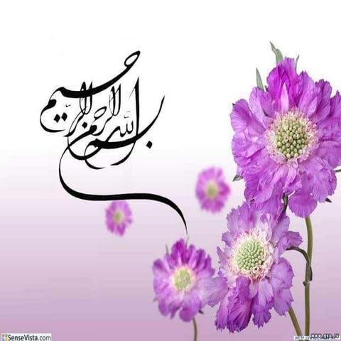 Esmaeilzade   sampling