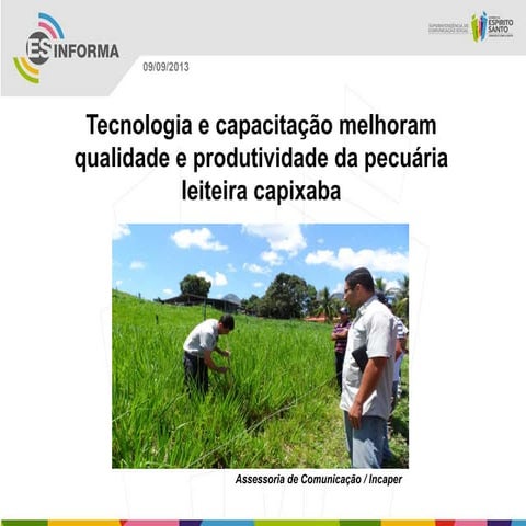 Cp 1 ficha constituição | DOCX