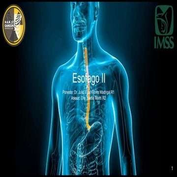 Esofagitis infecciosa y diagnóstico endoscopico | PPTX