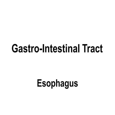 esophagus.pptx