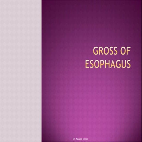 Gross of esophagus