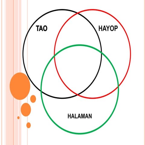 Es p 7 module 5 day1