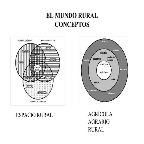Espacio Rural