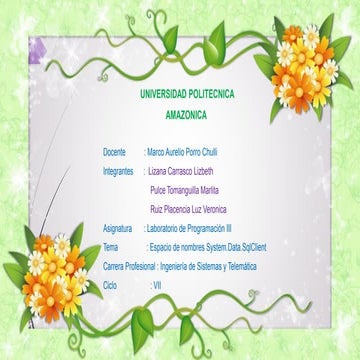 Espacio de nombres system.data.sql client