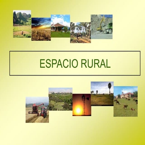 Espacio rural 2011