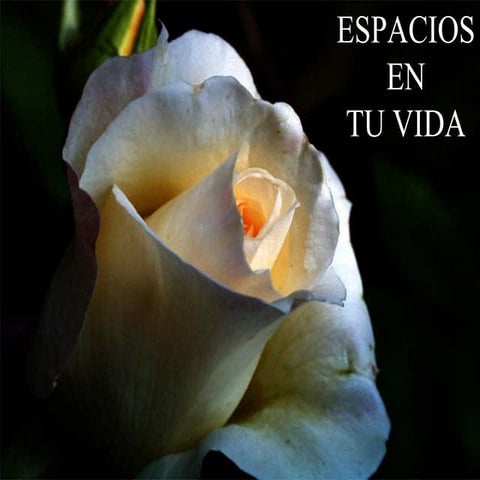 Espacios en tu vida