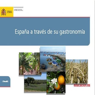 España  a través de su gastronomía