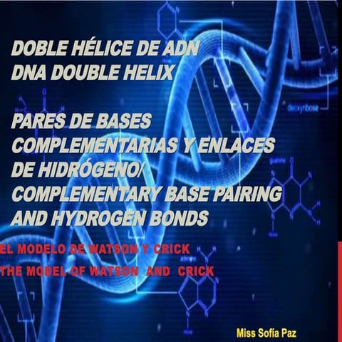 Español dna double helix (2 class) 2015