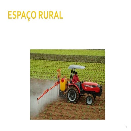 Espaço rural