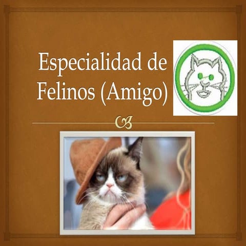 Especialidad de Felinos (Amigo).pptx