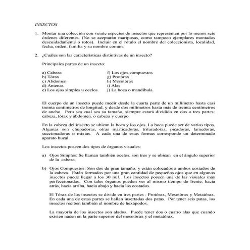 Especialidad de insectos desarrollada