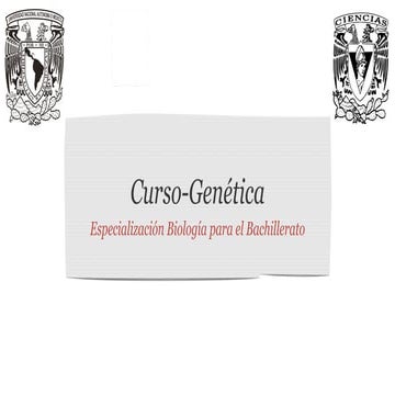 Especialidad presentación