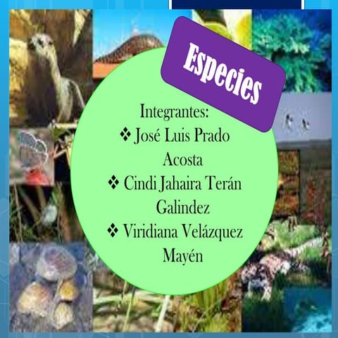 Especies 