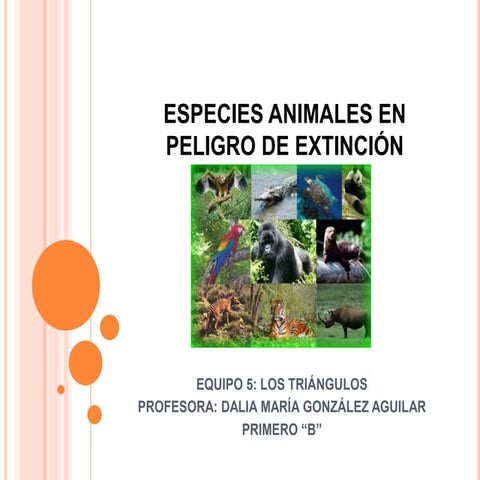 Especies animales en peligro de extinción