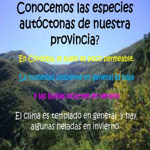 Arboles autóctonos de Córdoba 