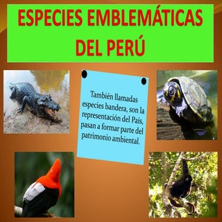 Especies emblematicas del peru