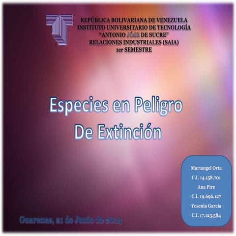3 Especies en Peligro de Extincion