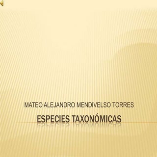 Especies taxonómicas