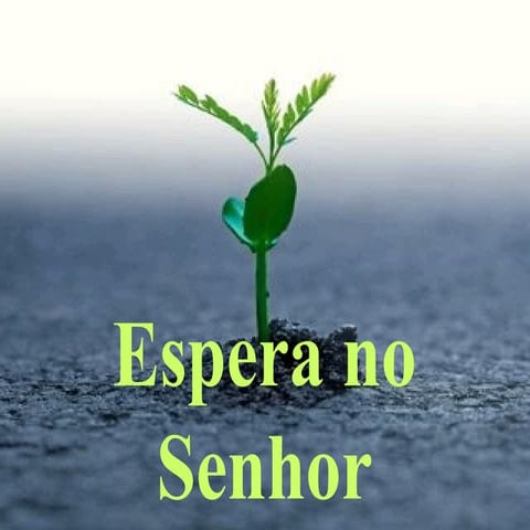 Espera no senhor(eliane ribeiro)(i) | PPT