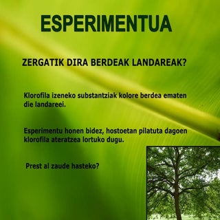 Esperimentua aitziber cruchaga 2013...