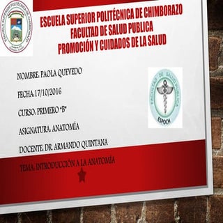 Resumen de Anatomía