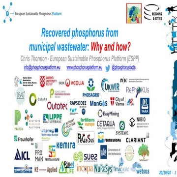 Routes for P-recover from sewage