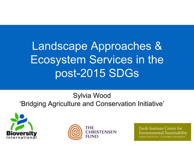 Landscape Approaches & Ecosystem Services in the post-2015 SDGs