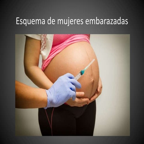 Esquema embarazo