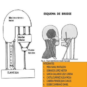 esquema de brodie ,indicsciones hy usos en la vida diaria | PDF