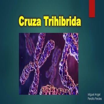 Gametas que puede formar un triple heterocitogo