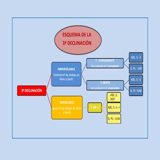 Esquema de la 3ª declinacion