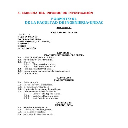 Esquema  del  informe  de  investigación