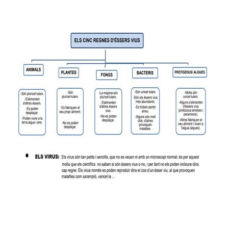 Esquema dels 5 regnes