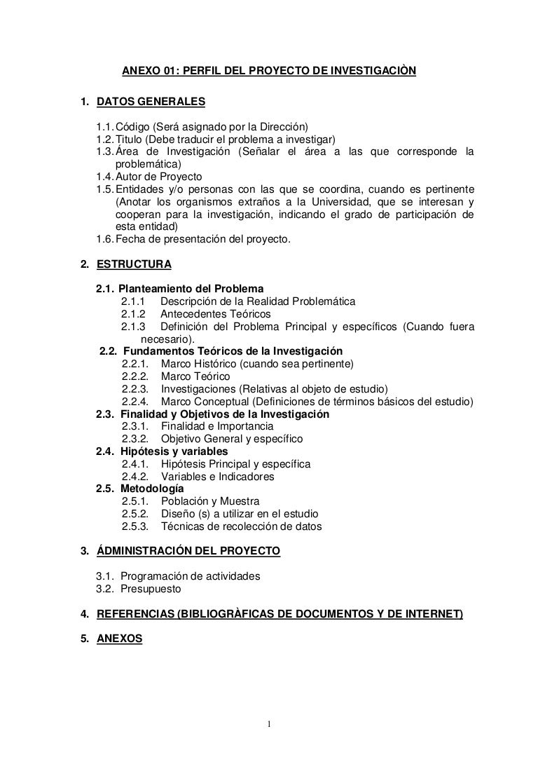 Perfil y Estructura del Trabajo de Investigación