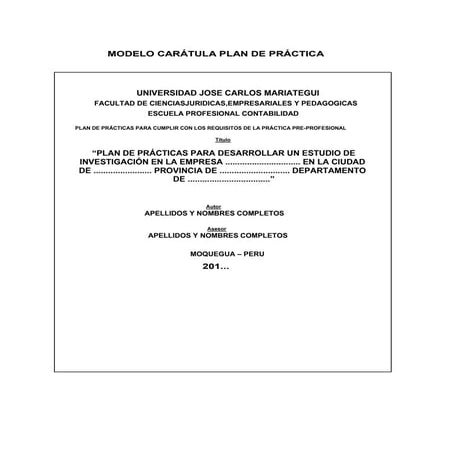 Esquema plan de practicas preprofesionales