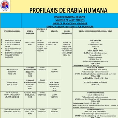 ESQUEMA RABIA para tratamiento de mordedura de can | PPT