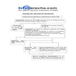 Esquema recurso reposicion (Esquema...
