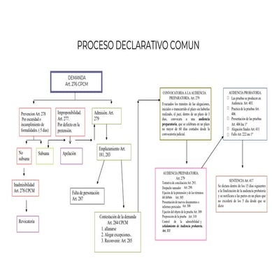 Esquemas abreviado-y-declar.-comun.docx salvador | DOCX