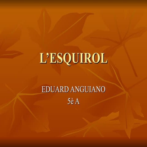 Esquirols