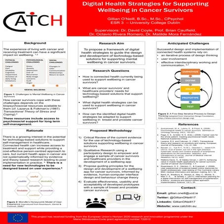 Digital Health Strategies for Supporting  Wellbeing in Cancer Survivors