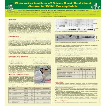 8th Internation Wheat Conference E.Alwan poster