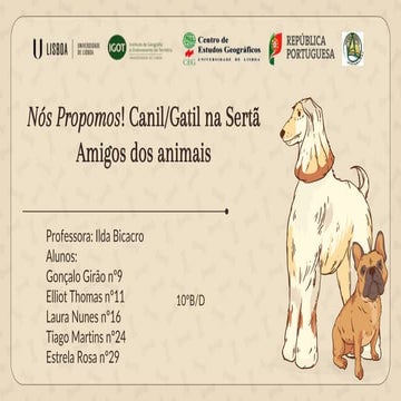 Nós Propomos! Canil/Gatil na Sertã - Amigos dos Animais