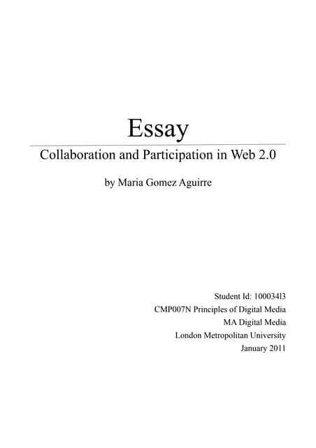 new media essay