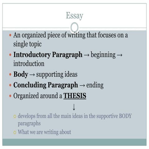 Essay