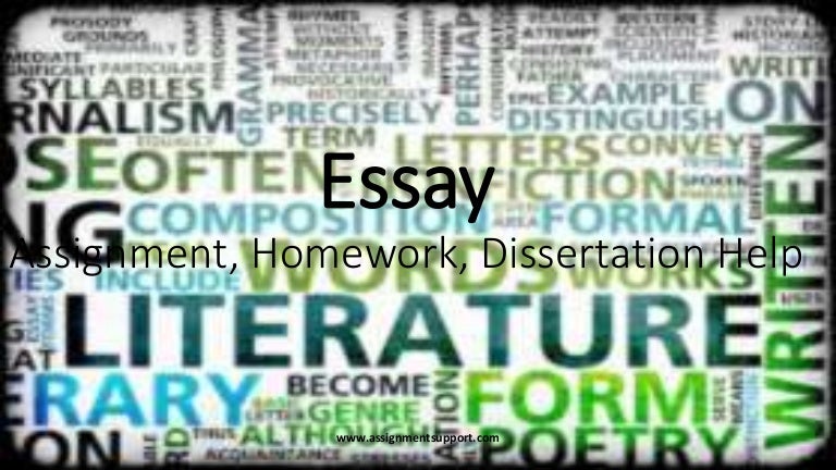 Expert assignment writers