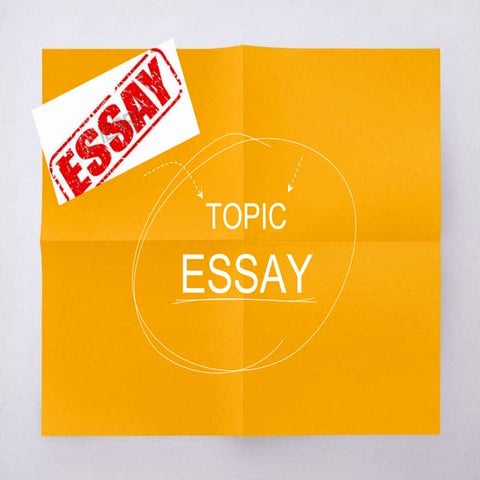 Essay