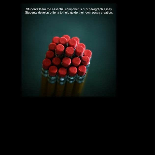 Essay Lesson | PPT | Homework and Study | Education