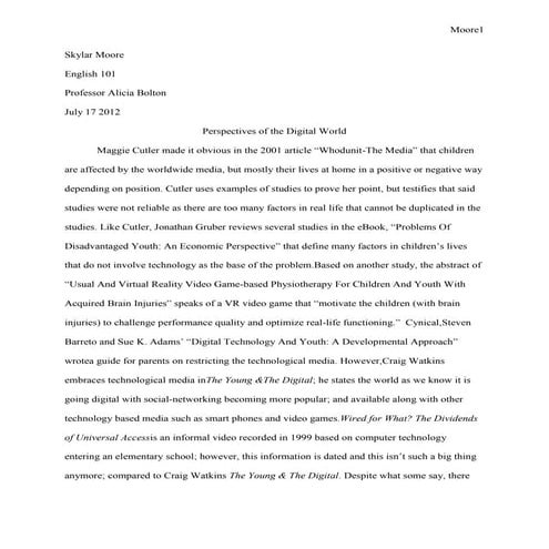 Essay 4