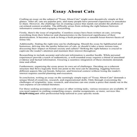 Essay About Cats. Sussex County Community College